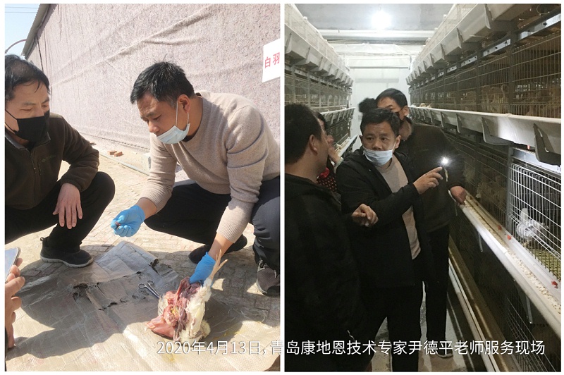 青島康地恩服務專家服務現場 青島康地恩服務專家服務現場