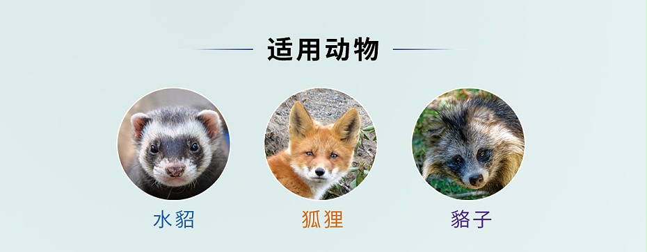 毛皮動物的血蟲病鹽酸多西環素可溶性粉青島康地恩專賣