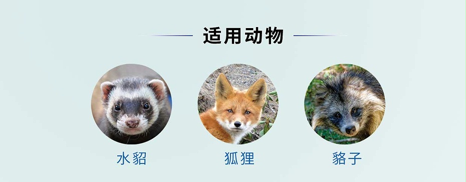 貂狐貉感冒、消炎殺菌、乳房炎藥廠家-青島康地恩-1 貂狐貉感冒、消炎殺菌、乳房炎藥廠家-青島康地恩-1