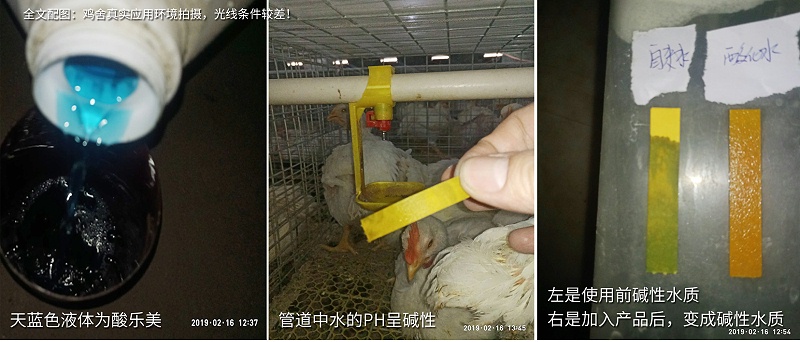 規(guī)模化雞場(chǎng)水質(zhì)管理 規(guī)模化雞場(chǎng)水質(zhì)管理