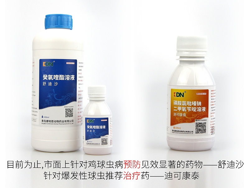 雞球蟲病預(yù)防推薦用藥——舒迪沙。爆發(fā)性球蟲治療藥——迪可康泰。