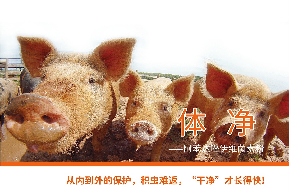阿苯達唑伊維菌素粉-1 阿苯達唑伊維菌素粉-1