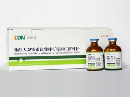 康地恩 康地恩