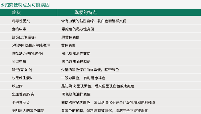 根據糞便顏色判新水貂健康狀況【康地恩養(yǎng)貂】