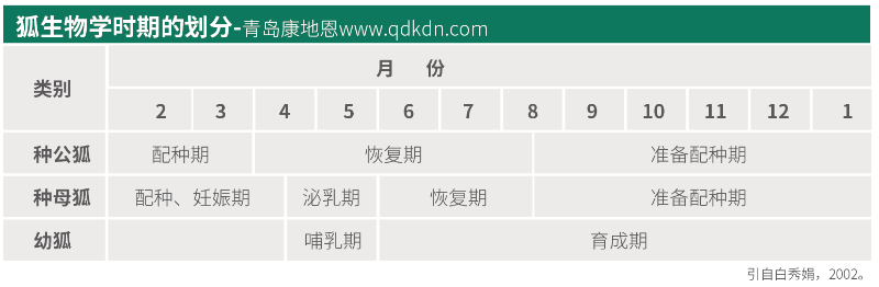 狐貍生物學時期怎么劃分?【康地恩毛皮養殖】 狐貍生物學時期怎么劃分?【康地恩毛皮養殖】
