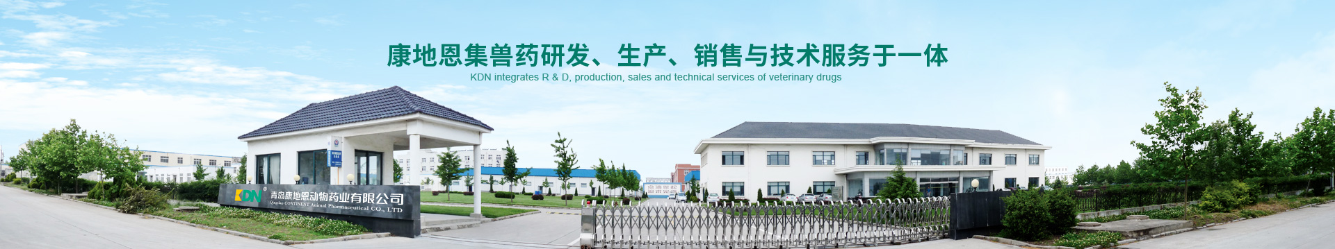 康地恩,集獸藥、研發(fā)、生產(chǎn)、銷售與技術(shù)服務(wù)于一體 康地恩,集獸藥、研發(fā)、生產(chǎn)、銷售與技術(shù)服務(wù)于一體