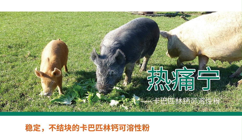 卡巴匹林鈣,解熱鎮痛 卡巴匹林鈣,解熱鎮痛