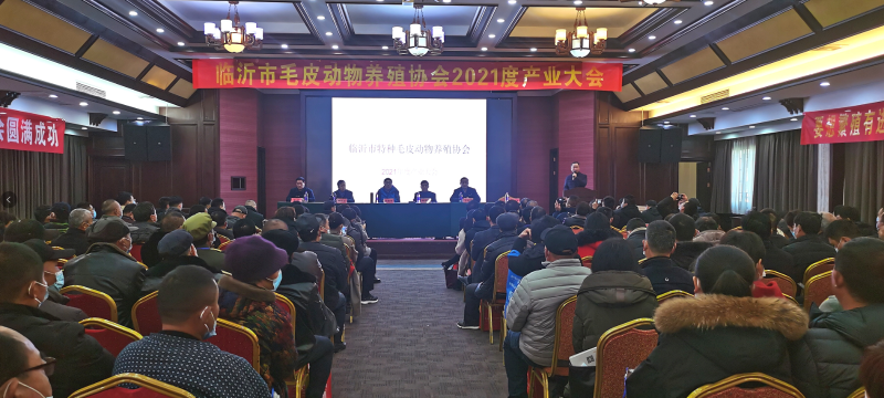 青島康地恩受邀參加臨沂市毛皮動物養(yǎng)殖協(xié)會2021年度產(chǎn)業(yè)大會 青島康地恩受邀參加臨沂市毛皮動物養(yǎng)殖協(xié)會2021年度產(chǎn)業(yè)大會