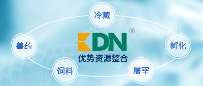 跨界整合 跨界整合