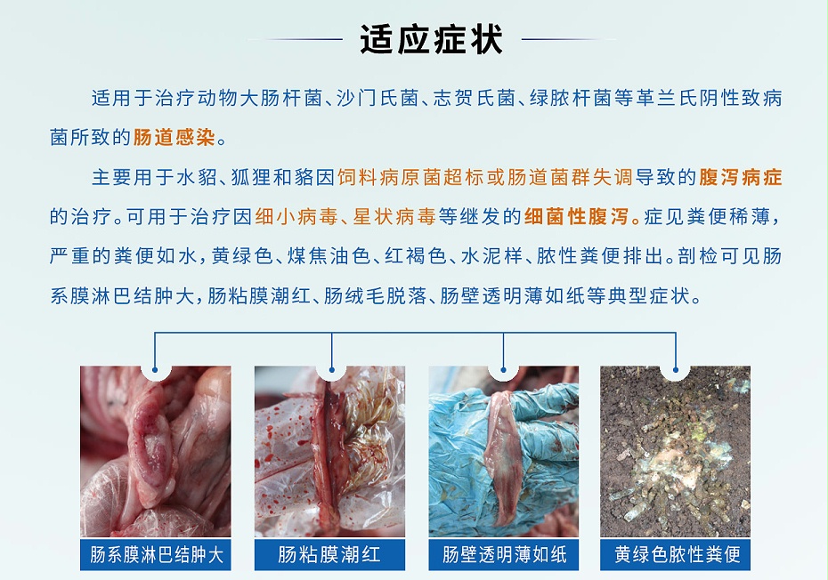 硫酸黏菌素可溶性粉-貂狐貉專用-青島康地恩2 硫酸黏菌素可溶性粉-貂狐貉專用-青島康地恩2