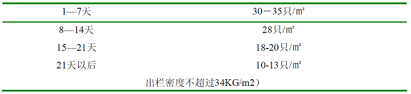 青島康地恩白羽肉雞育成期管理 青島康地恩白羽肉雞育成期管理